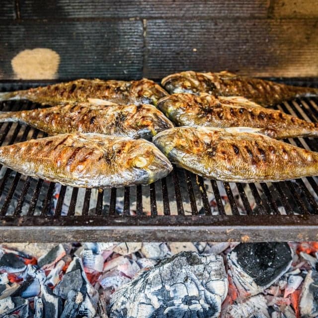 fish on the grill